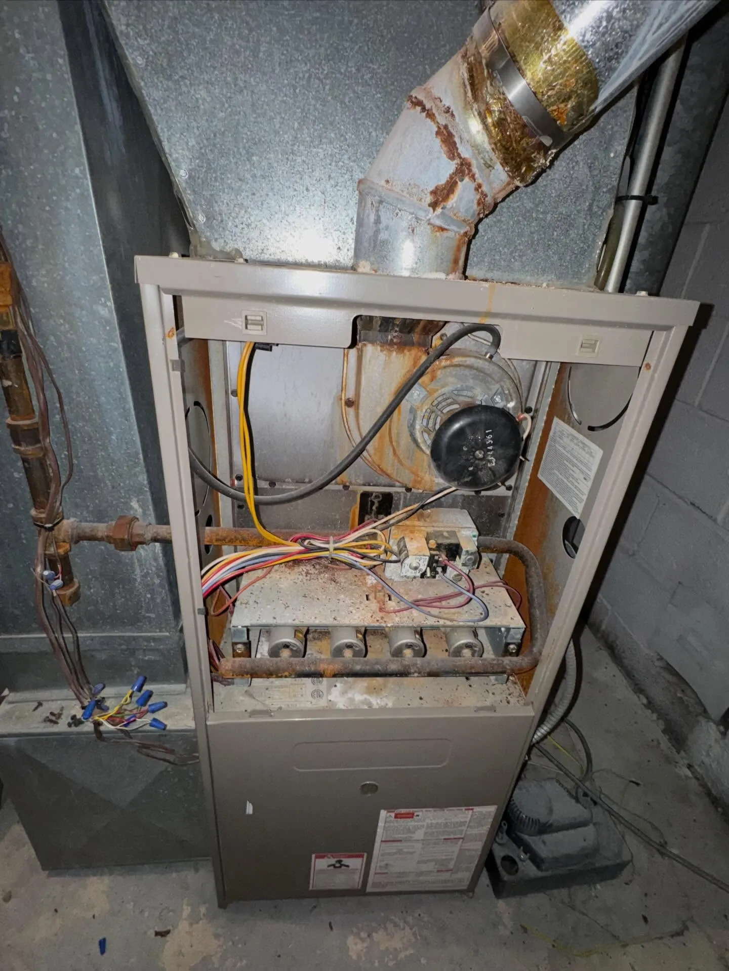 An old gas furnace opened up in a basement, showing a rusted heat exchanger and corroded burners